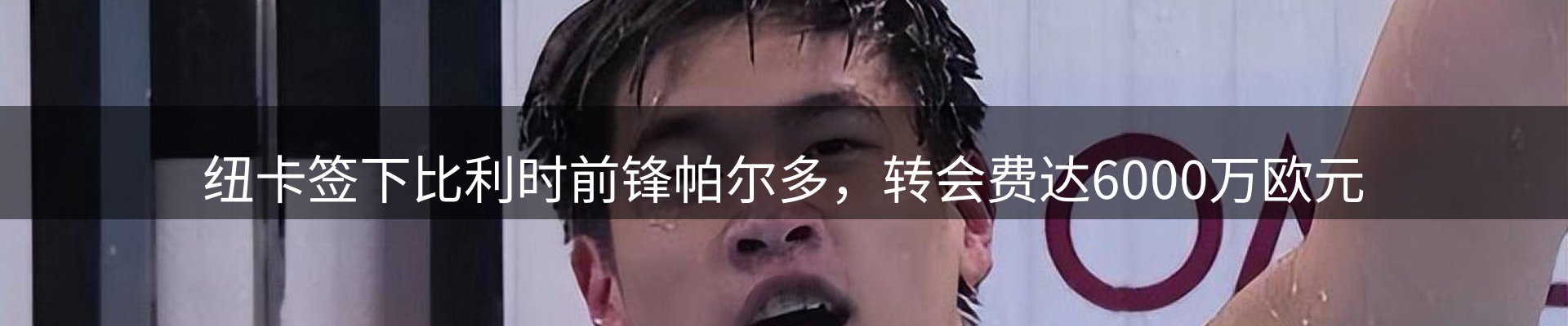 企业汇总